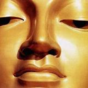 Robert Eden - @Organics88 - Twitter