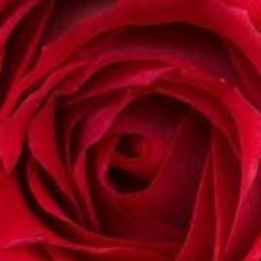 jojo29jojo29's profile picture. 