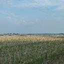 Ann Whelan - @annrow1952 - Twitter