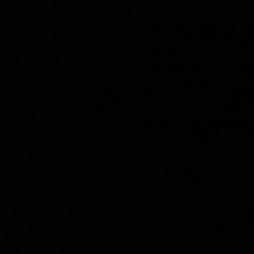 SajniShahx's profile picture. 