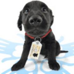 petidme's profile picture. Bringing you Quality Dog & Cat News, products and more to improve the quality of life of pets and their owners.