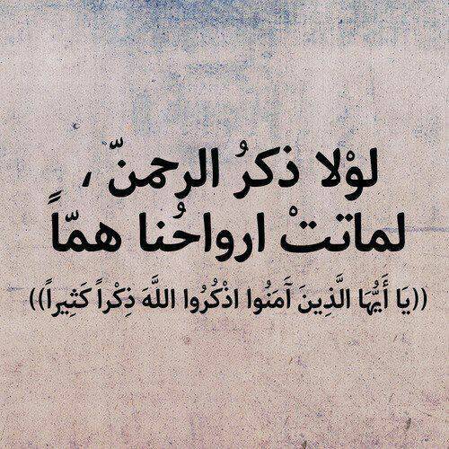 رَّبِّ أَدْخِلْنِي مُدْخَلَ صِدْقٍ وَأَخْرِجْنِي مُخْرَجَ صِدْقٍ وَاجْعَل لِّي مِن لَّدُنكَ سُلْطَانًا نَّصِيرًا. 💐💐