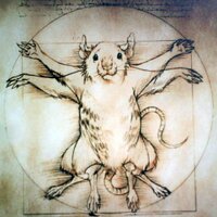 John J Powers (@labratpowers) 's Twitter Profile