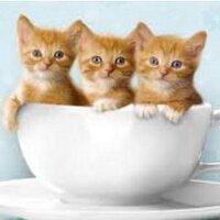 Al Nielsen (@alenedottie) Twitter profile photo