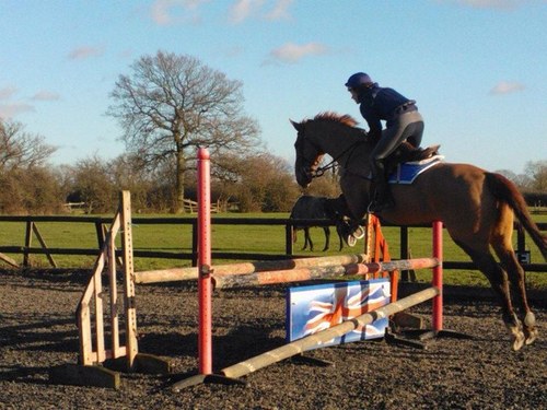 AbiLutener's profile picture. 