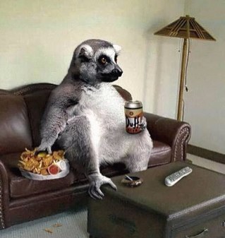 Embrace the laziness. Follow and RT us!