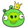 chanchodemonte's profile picture. Expert Content Locator and Professional Copy Paster y en veces diseño