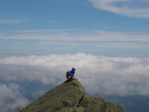 kissmyshoe's profile picture. 