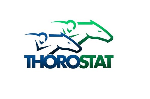 ThoroStat's profile picture. #horseracing insight wager recommendations daily plays by @davemay310