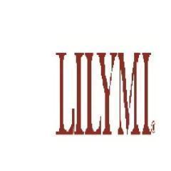 Workshops | Mentors | Non-profit | The LILYMI Foundation provides tools & resources to impact successful outcomes for children, youth & adults.