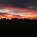 Sue Stringer (@sks56) Twitter profile photo