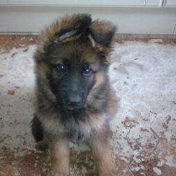 AnnettePeachey's profile picture. Retired Theatre Nurse  at The Alex, Redditch and devoted fan of Worcester Warriors