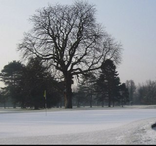 For all the news from Ashford manor including pro shop deals, course updates and the odd bit of banter!