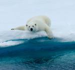 bugchingu's profile picture. 정석!!