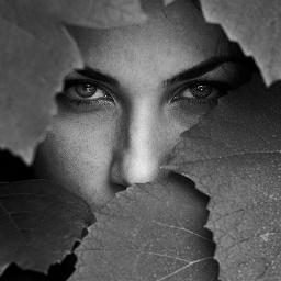 لا تدع أي شئ يعيقك في هذه الحياة الفانية
