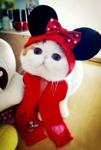 ATHEr_________'s profile picture. 