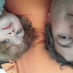 Marcelo Soto (@marcelosoto) Twitter profile photo Marcelo Soto (@marcelosoto) Twitter profile photo