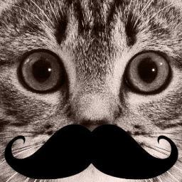 Scetchinc's profile picture. Youtube, its our hobbie