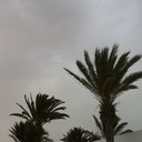 Judith steffens - @JudithSteffens - Twitter