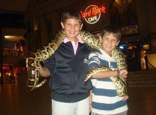 Simon_Bittar's profile picture. 