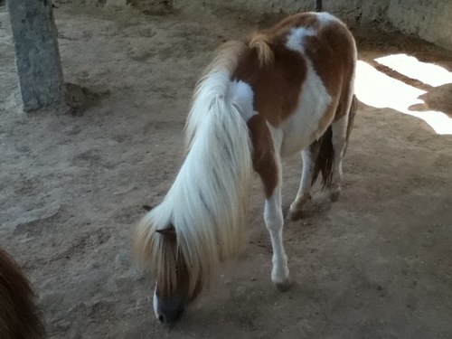 MhMenna's profile picture. 