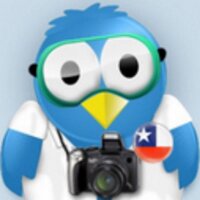 Puconino (@alexismalll) 's Twitter Profile