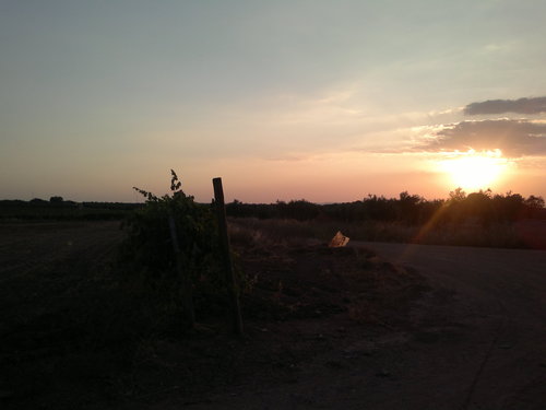 Vive intensamente pero sin precipitaciones.
Natural de Zafra. Teleco, robótica, friki, IA, y cualquier cosa que me emocione.