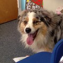 Lisa Meagher - @lisa_meagher - Twitter