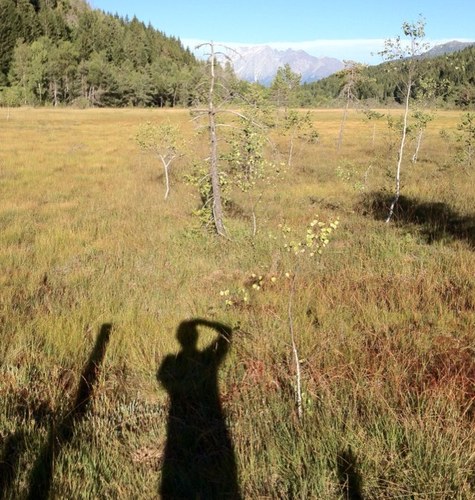 davidepessina26's profile picture. 