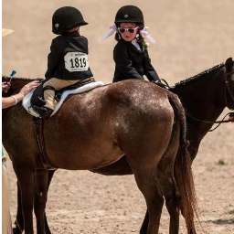 HorseAnonComp's profile picture. Send in a compliment for a horse anon! Make someone's day! They all will be anonymous.