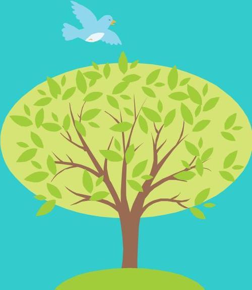 Our aim is to shine the light on local growers, bakers, & artisans taking flight at the Bluebird Market.