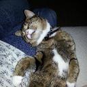 mari nelson - @carlislelass101 - Twitter