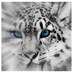 tacticus (@tacticus3) Twitter profile photo
