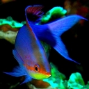 Marcel Edwards - @marceledwards25 - Twitter