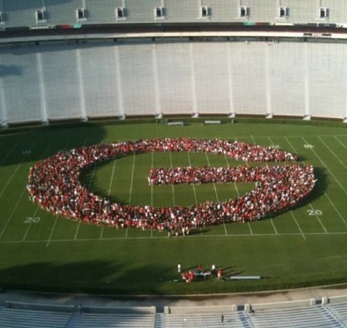 UGA_Woof's profile picture. 