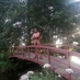 Mj Nudist (@mnudist) Twitter profile photo