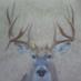 LeaseHunter.com (@leasehunter) Twitter profile photo