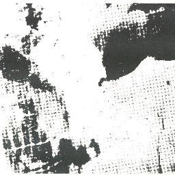 Bruce Howard Profile
