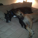 Jeff LaBelle - @DaneMan1980 - Twitter