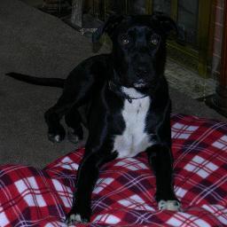 Billings37's profile picture. 