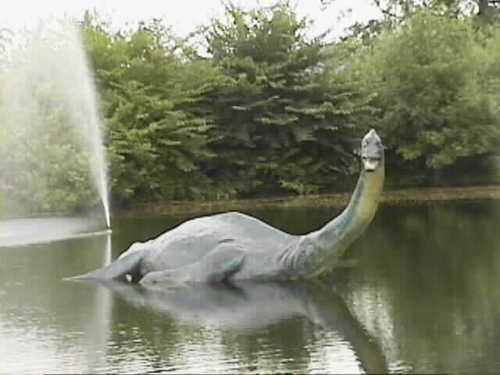 Uma 未確認生物 Strshssn Ac Twitter