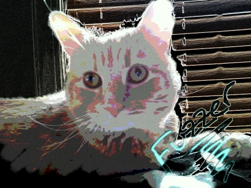 schmeeko's profile picture. not a bass player, cant sing, havent written a book, just a regular person looking to make a difference