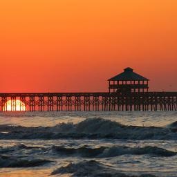I am a beach lover and the author of three novels set in the Carolina lowcountry: A LONE PALM STANDS, SAVING SARA, AND SAVANNAH GRACE.