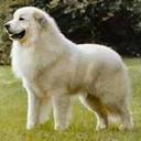 Ken Fredrickson - @kenfredr2004 - Twitter