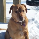 trina ott - @trinaott - Twitter