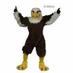 Newberry Academy Eagles athletics (@naeathletics) Twitter profile photo Newberry Academy Eagles athletics (@naeathletics) Twitter profile photo