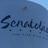 SenatobiaMainSt's profile image