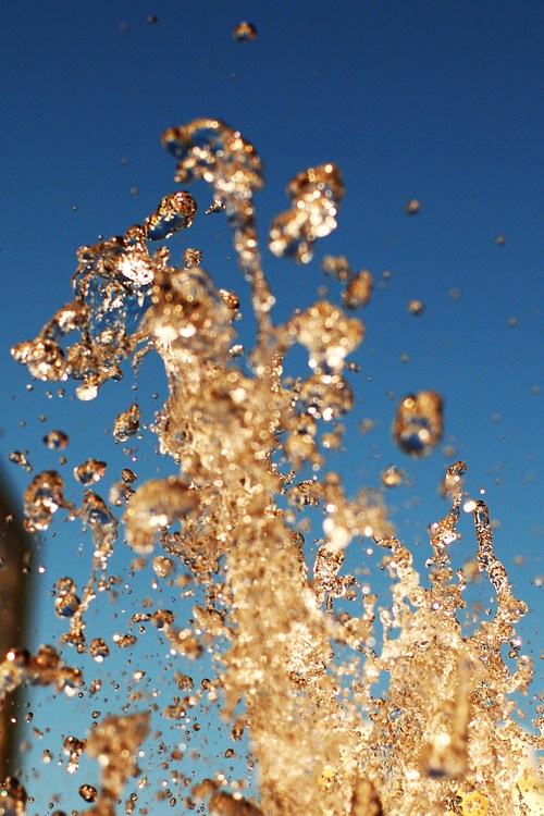 Justin1982ca's profile picture. I am a photographer out of the Newmarket area in Ontario, My blog is to show what I am photographing. With some other things...