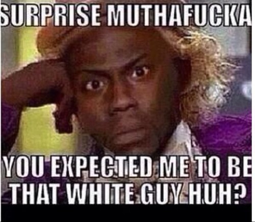 puppyface3167's profile picture. Yolo