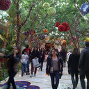 Marlene Tobar Navas - @marlenetobarn - Twitter